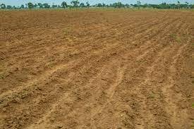 Borno, Adamawa, Yobe prepare for dry-season farming
