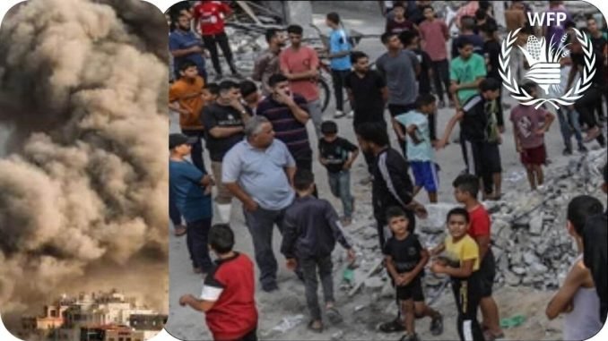 Displacement in Gaza, Israel: WFP begins distribution of food to 100,000 Gazans