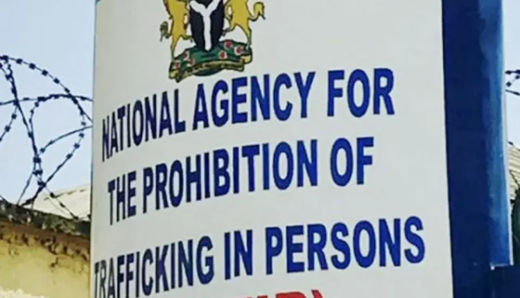 NAPTIP celebrates as 62-year-old trafficker goes in for 12 years