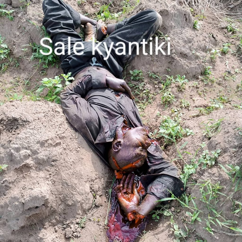 Taraba killings: powerful demigods are killing our people to steal our stool- Group alleges