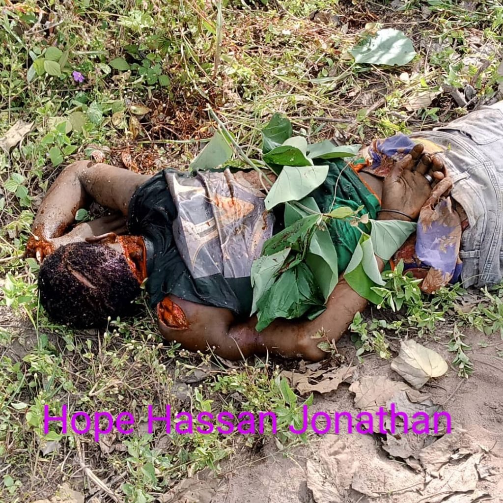 Taraba killings: powerful demigods are killing our people to steal our stool- Group alleges
