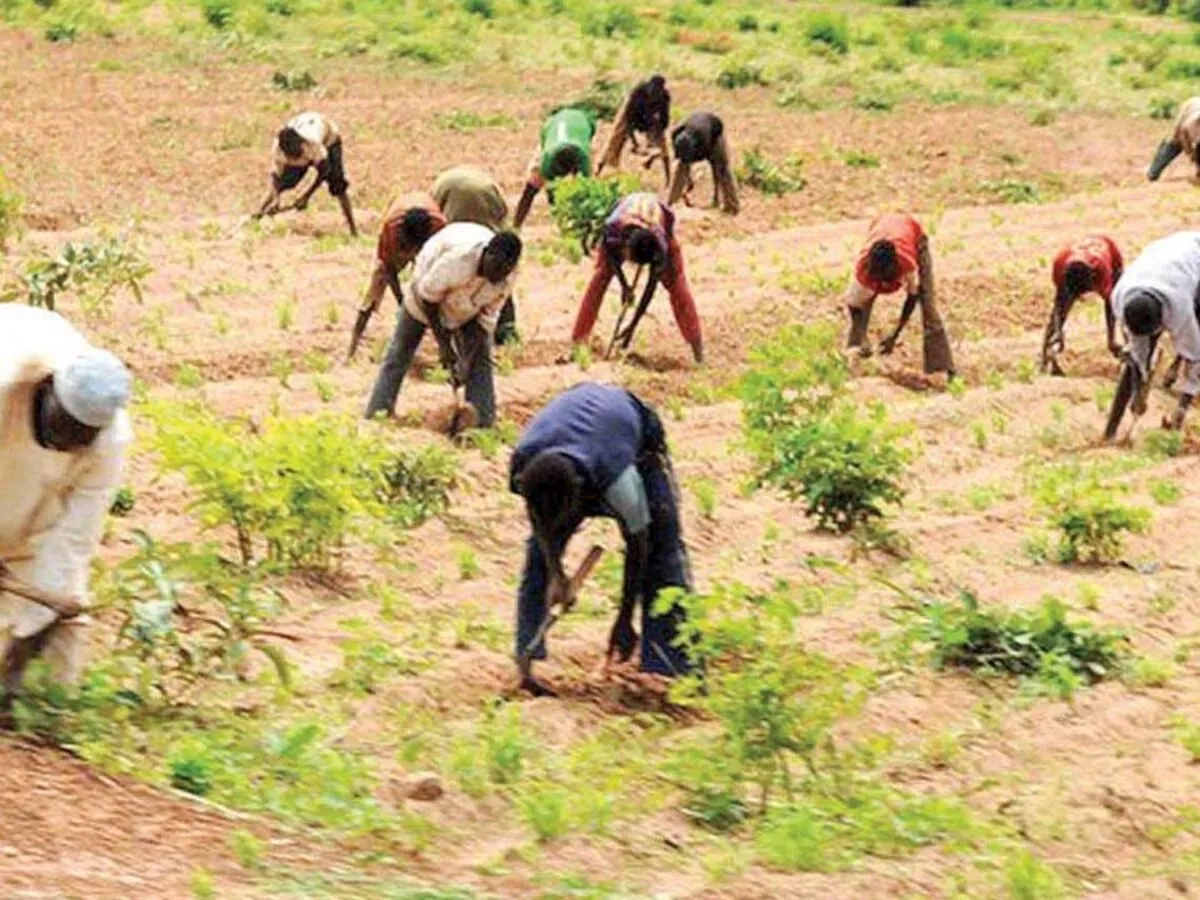 Food inflation: Dry season farming to the rescue?