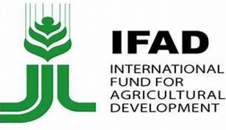 FG, IFAD to strengthen partnership with women to enhance productivity, income