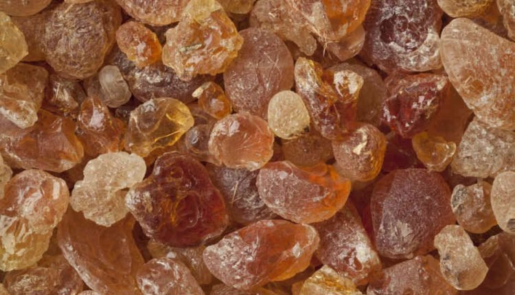 Gum Arabic as major export earner: Prospects and challenges