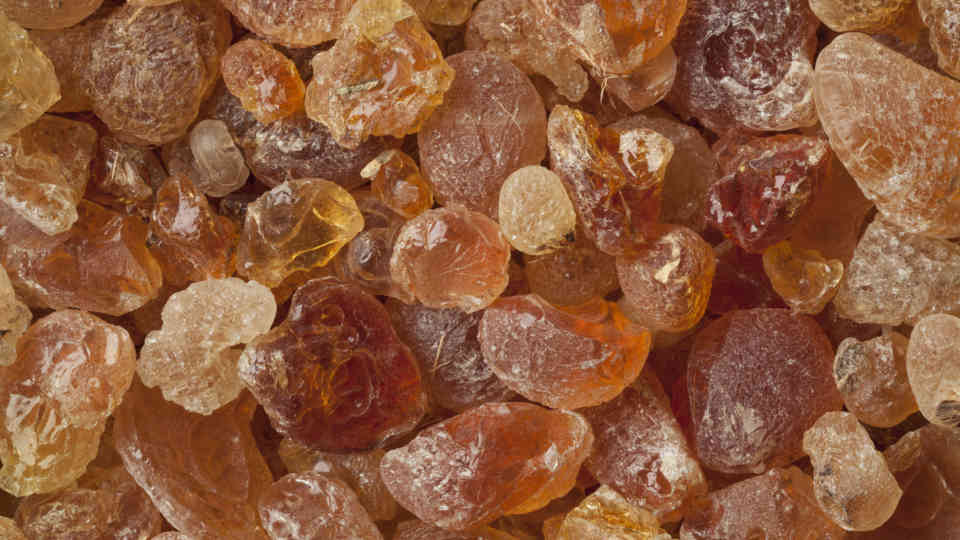 Gum Arabic as major export earner: Prospects and challenges