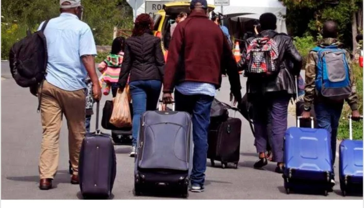 Japa: V-Cs, lecturers, others worry as lecturers abandon universities