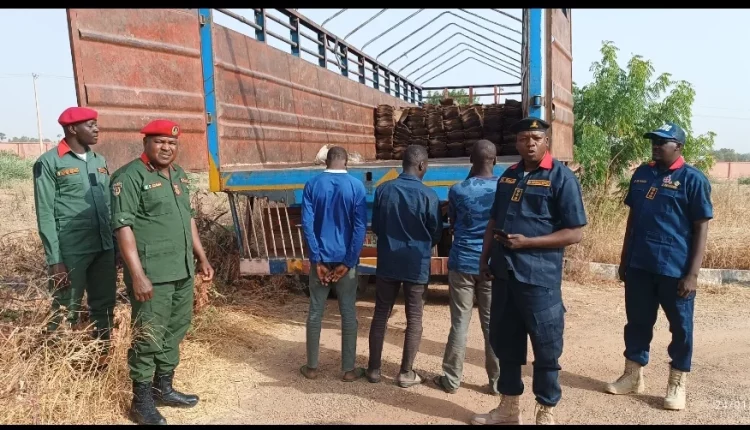 NSCDC impounds truck carrying 450 vandalised railway sleepers in Yobe