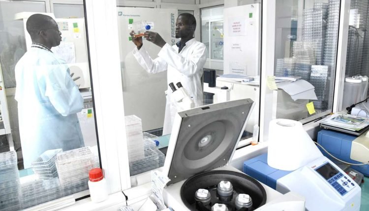 The Mandate Secretary, FCT Health Services and Environment, Dr Dolapo Fasawe, says two Lassa fever