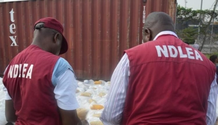 Unholy love: Borno youths’ craze for fermented urine frustrates war against substance abuse