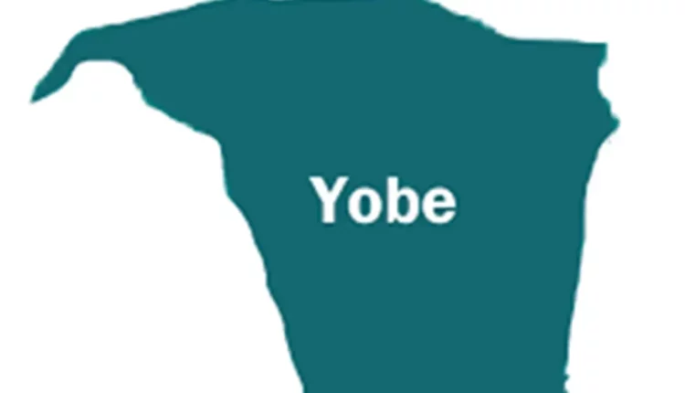 Yobe shuts 7 illegal health facilities