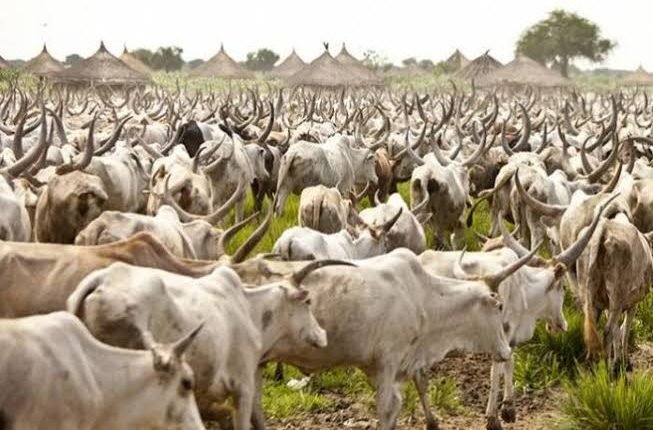 Insecurity: Fulani leaders threaten to stop sales of livestocks across Nigeria