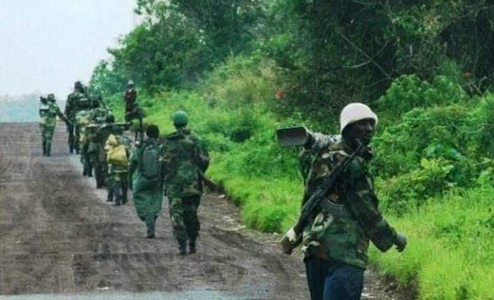 M23 rebels seize town in eastern Congo