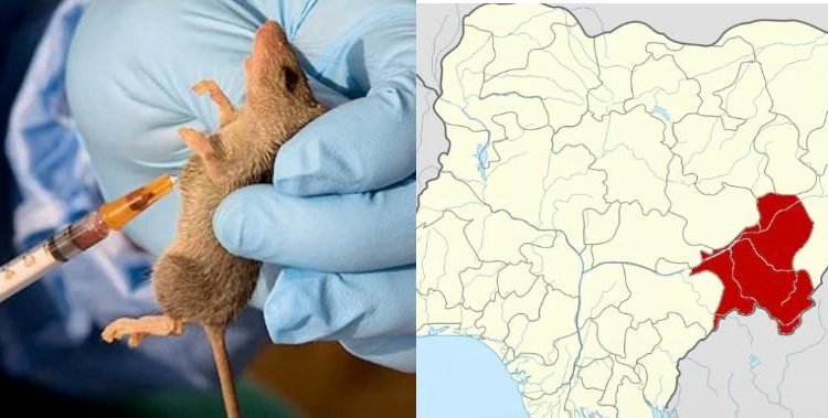 Lassa Fever claims 19 in Taraba