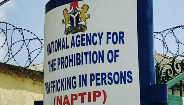 NAPTIP arrests 2 women over buying, selling of baby for N2million