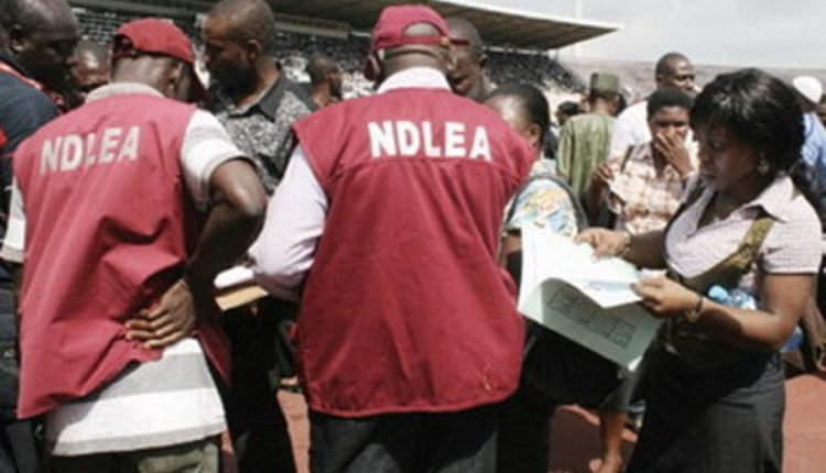 NDLEA intercepts illicit drug consignment in commercial bus engine, arrests 2 grandpas