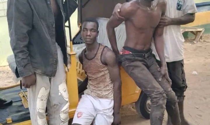 Adamawa: 4 Tricycle robbery Suspects in police net