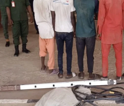 NSCDC arrests 6 suspected electricity transformer vandals in Yobe