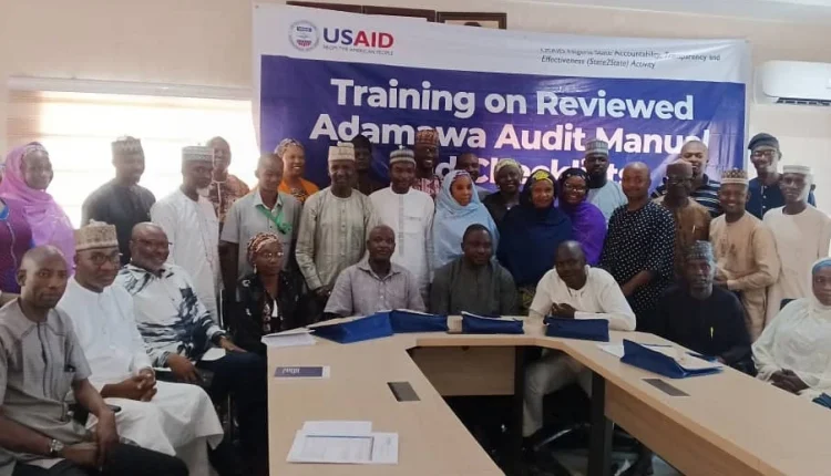 Adamawa, USAID review audit manual for effective service delivery