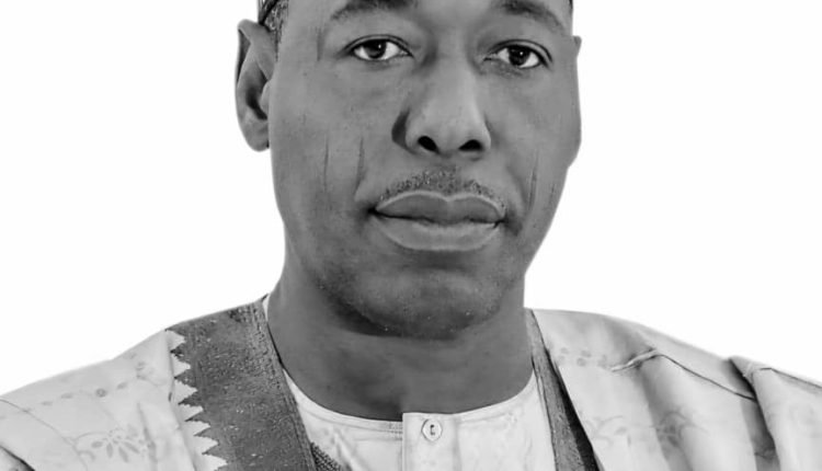 Zulum to speak at UN dialogue on education transformation in Africa