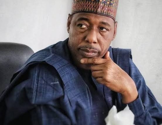Boko Haram insurgency destroyed Sambisa forest, Zulum laments