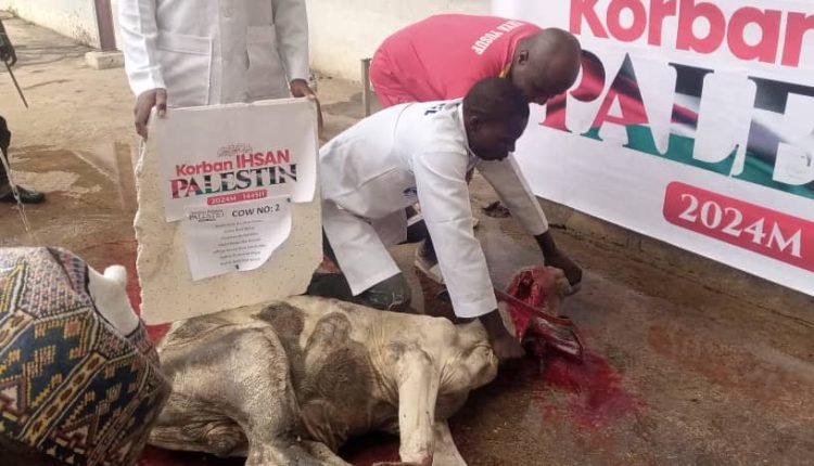 Malaysia organization slaughter over 3,000 cows for vulnerable Palestine