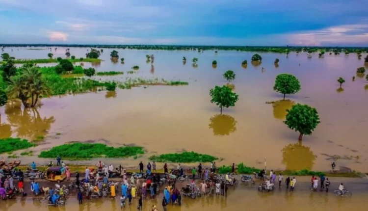NEMA declares 9 LGAs in Bauchi at high flood risk, DG call for early mitigation action