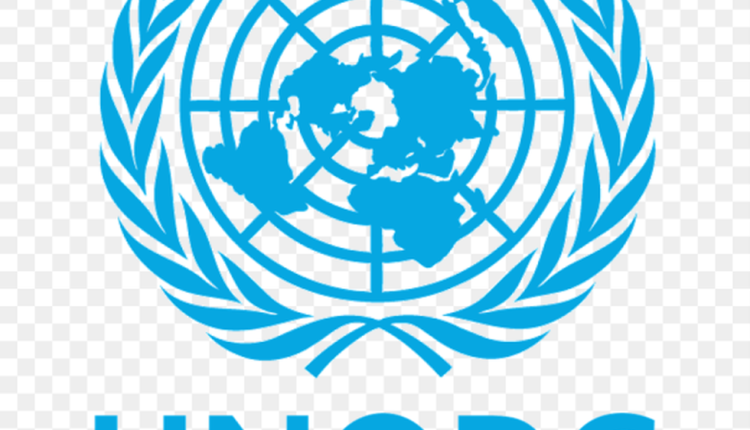 Over 64m people suffer from drug use disorders — UNODC
