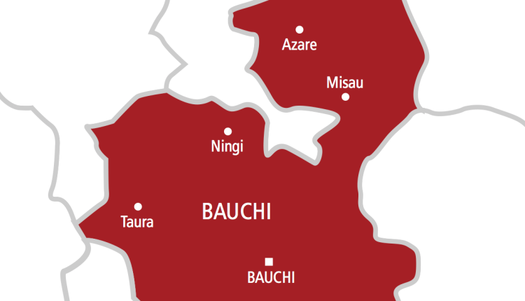 Rainstorm Claims Four Lives at Bauchi Trade Fair