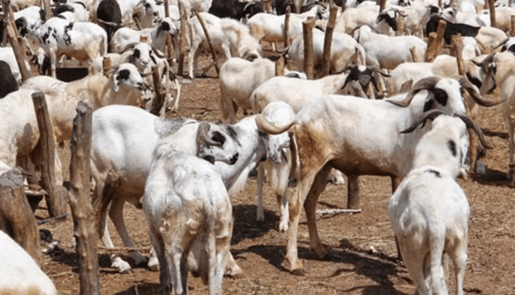 Saudi declares June 16 as Sallah day