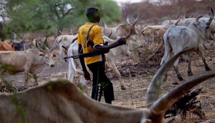 13 Killed in Benue Communities by Suspected Armed Herders