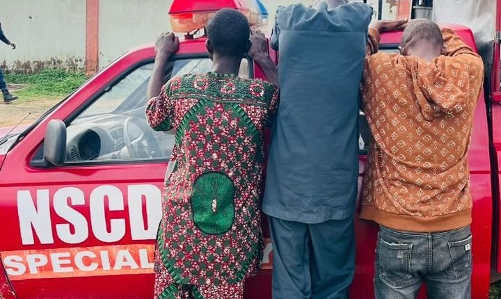 Osun NSCDC apprehends ex-convict, cultist for serial phone theft and fraud