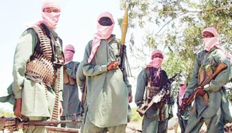 Bandits Storms Sokoto Villages, Carted Away Over 300 Cows, Others