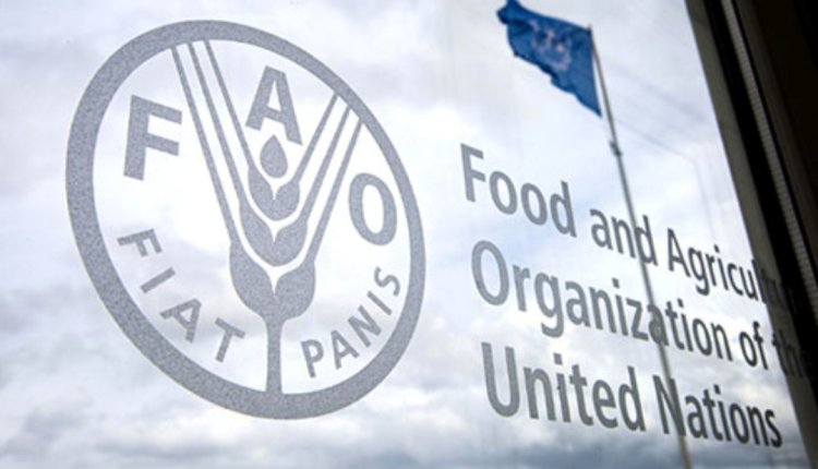 FAO trains 100 on aquaculture, homestead gardening in Taraba
