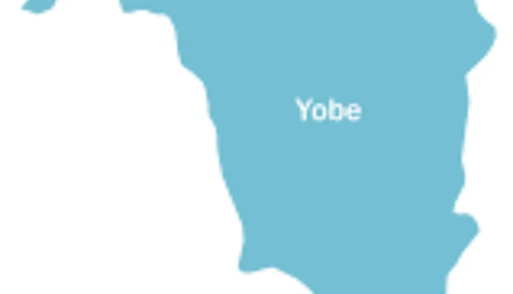 Yobe govt restates commitment to safe school initiative