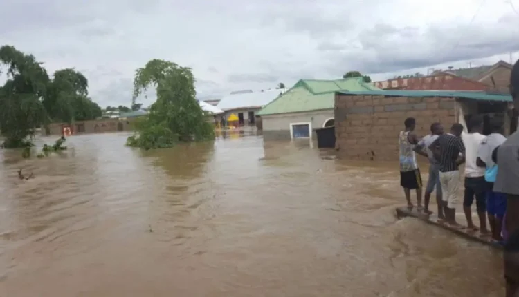 Yobe community seeks drain project to control flooding