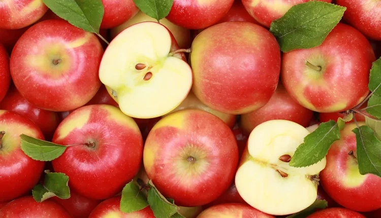 9 Fruits with More Fiber Than an Apple, According to a Dietitian