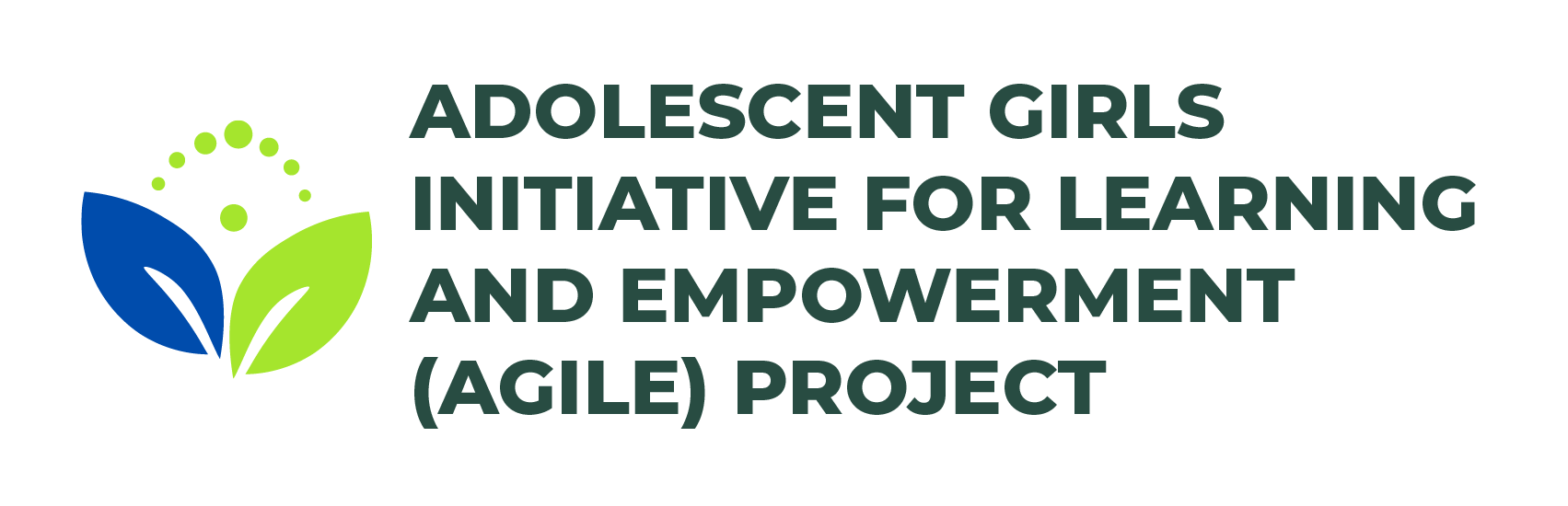Agile to Build New 50 schools for girls in Yobe