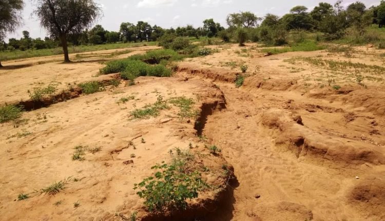 FG moves to restore 1m hectares of degraded land in North