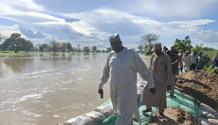 Zulum Activates Gov’t Machinery to Avert Flood Disaster in Borno