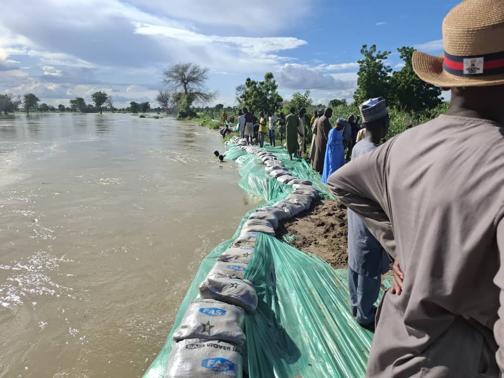 Zulum Activates Gov’t Machinery to Avert Flood Disaster in Borno
