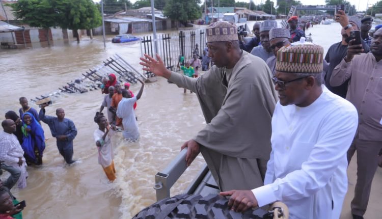 Flood: Dangote donates N2b, urges cooperate Nigerians to support Borno