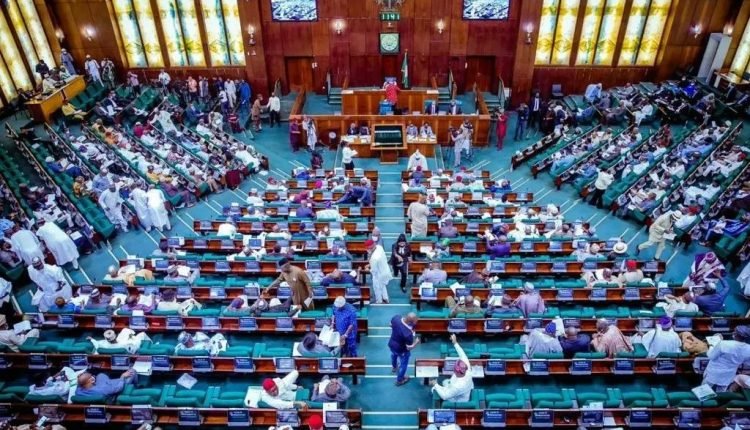 Reverse Fuel Price Hike Now, Reps Minority Tells Tinubu