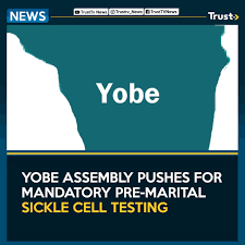 Yobe Assembly moves to make pre-marital sickle cell test compulsory