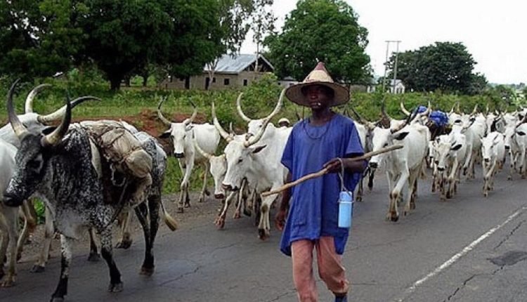 2 herders in court over alleged unlawful grazing