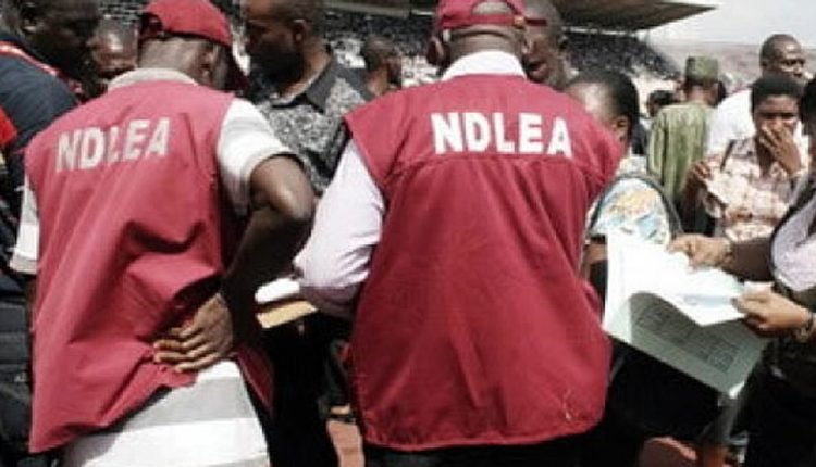 NDLEA intercepts US, Europe-bound drugs, N16.6bn opioids