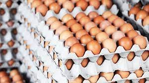 World Egg Day:PAN urges FG to declare ‘state of emergency’ on egg production