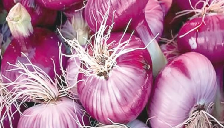 Onion farmers, marketers record 50% post harvest losses- Association