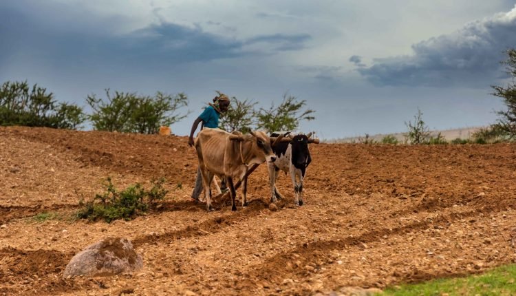 X-raying climate change impact on Nigerians health