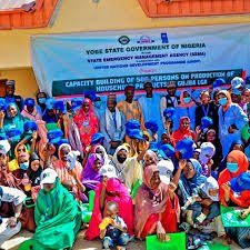 Assessing Yobe’s post-conflict economic recovery programmes