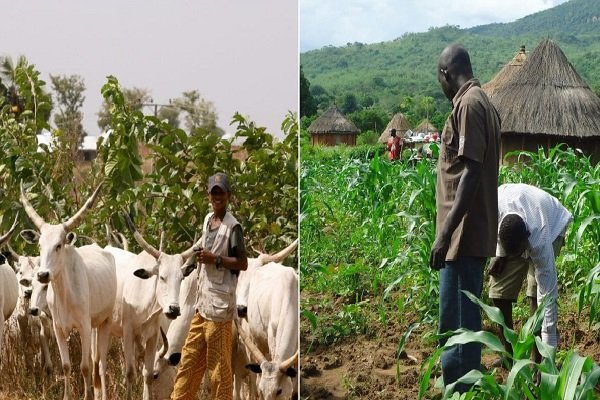 Benue to conduct livestock census to end farmers/herders clashes